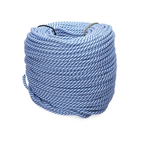 Шнур полипропиленовый спирального плетения 12 мм белый с синим (100 м)